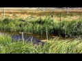 Climate Change and Hydrology Research
