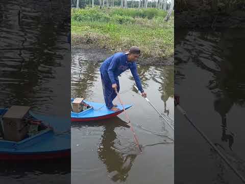 Ditarik kepermukaan