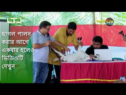 Deepto Krishi/দীপ্ত কৃষি : ছাগল পালন করার আগে একবার হলেও ভিডিওটি দেখুন | deepto tv