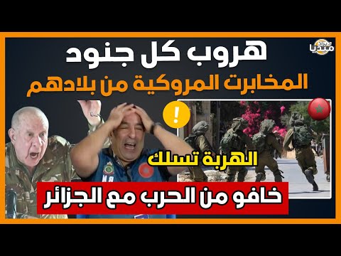 عــاجل..شاهد هروب كل جنود مخابرات المروك من بلادهم.. خافو من الحرب مع الجزائر لن تصدق!