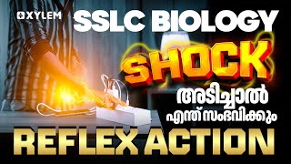 SSLC Biology | Shock അടിച്ചാൽ എന്ത് സംഭവിക്കും? Reflex Action | Xylem SSLC