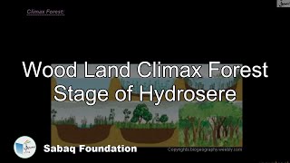 Wood Land Climax Forest Stage of Hydrosere