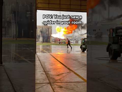 I Don’t Like Spiders #spiders #exterminator #nope