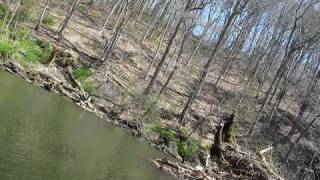 Fishing on the Wissahickon Creek (PA)