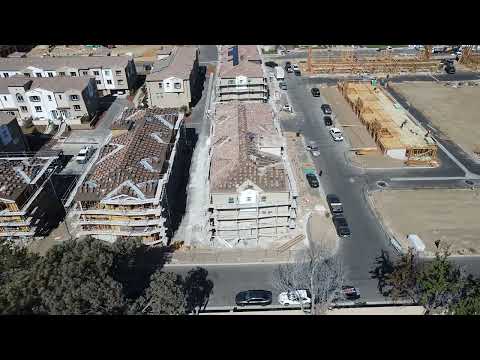 Palmera welcome video