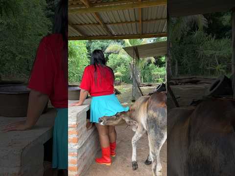 Ternera me ATACA en el RANCHO 🤣