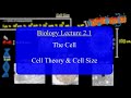Cell Structure and Size Concepts