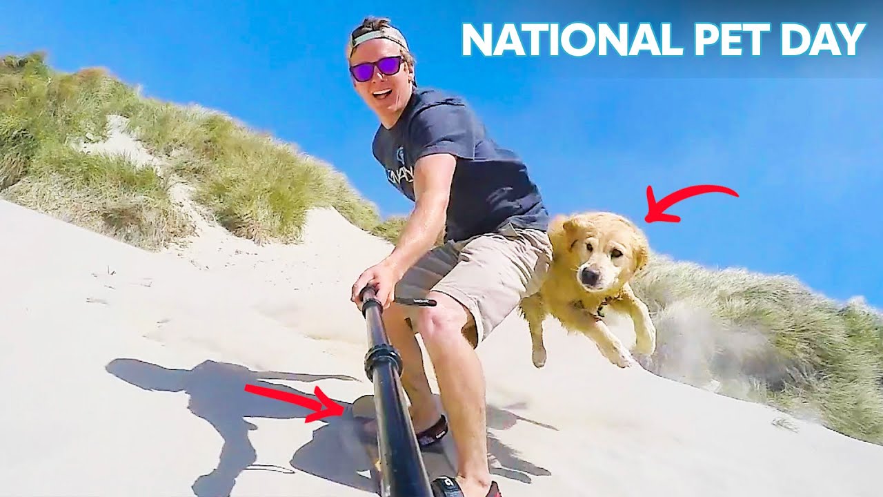 Surfing, Snowboarding & More | National Pet Day
