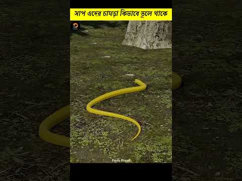সাপের Skin এরা Body থেকে আলাদা করে কিভাবে | How do snakes shed their skin | Factz Riyad