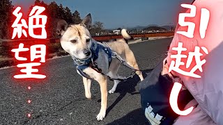 理想の田舎暮らしのはずが!?まさかの“地獄”でした。