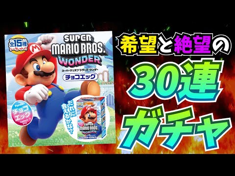 【激闘】マリオオタクのマリオワンダーチョコエッグ シークレット狙い放送