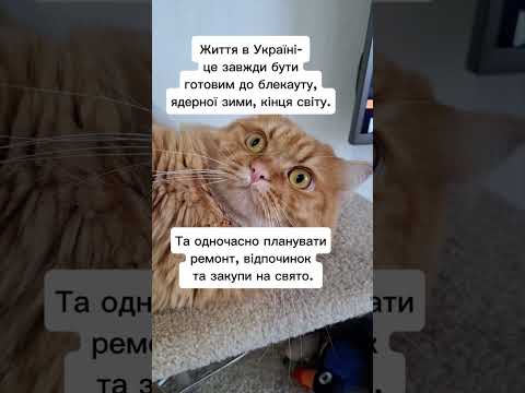 Життя в Україні #війна #війнавукраїні #блекаут #укриття  #зсу #ппо #військові #ядерка #ядернаявойна