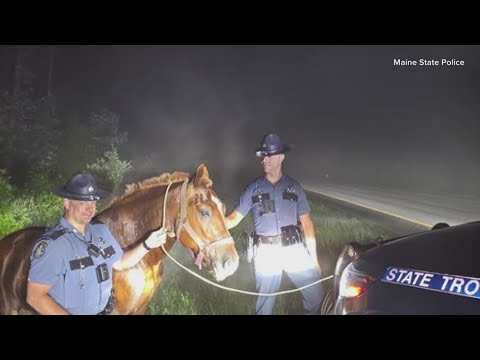 YouTube video thumbnail: Maine State Police: Troopers Rescue Runaway Horse on I-95 in Burnham