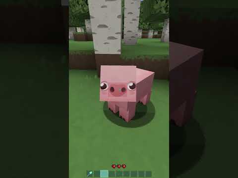 Types of Texture Packs in Minecraft