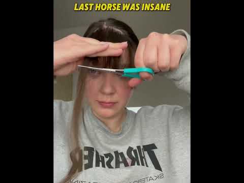 The Last Horse Haircut Was Insane