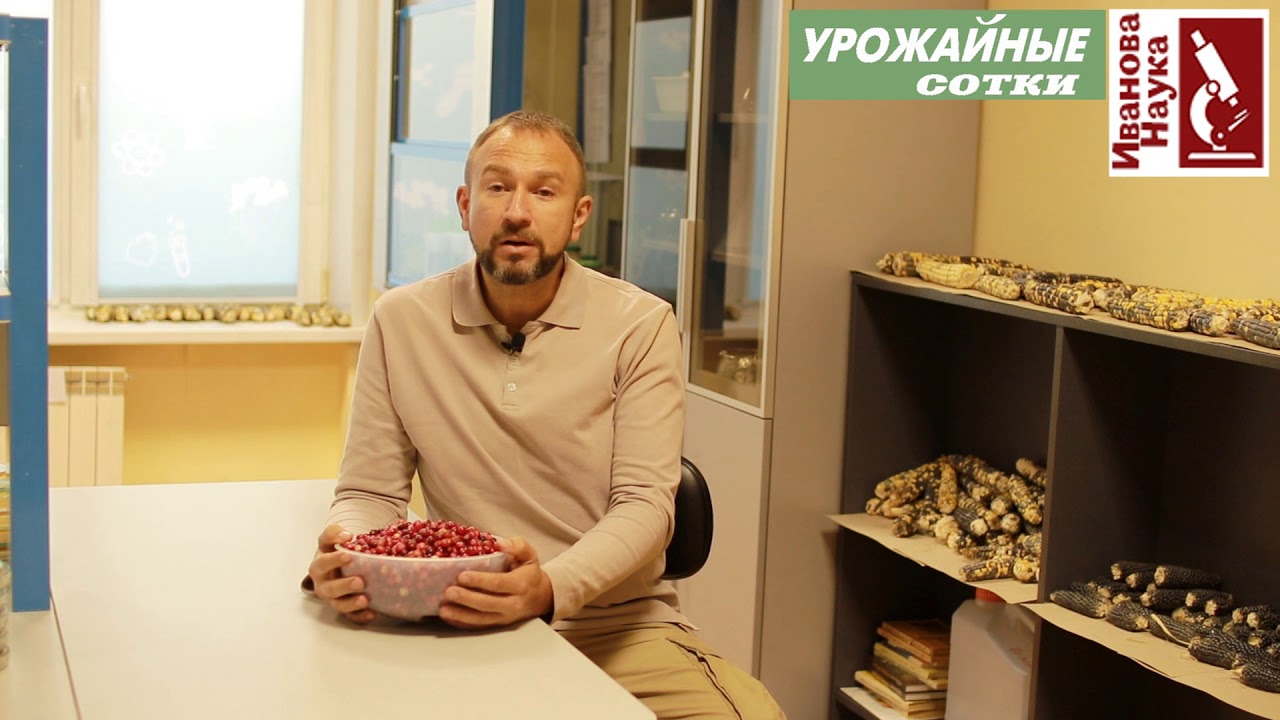 Клюква опасный яд, если готовить ее таким способом. Обезопасьте себя и своих детей