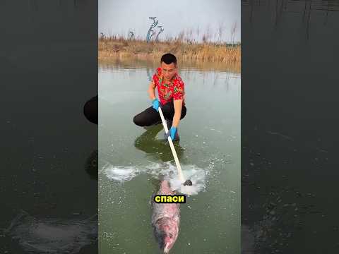 Помог бедному рыбаку 😱 сердце растает ❤️