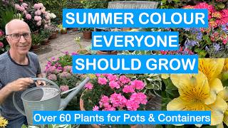 COLOUR FOR POTS, PATIOS & BORDERS; BEGINNERS GUIDE; FLOWERS FOR SMALL SPACES; STEP-BY-STEP RECIPES