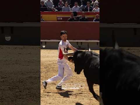 ESQUIVA UN TORO MUY FÁCIL #tricks  #bull #toros