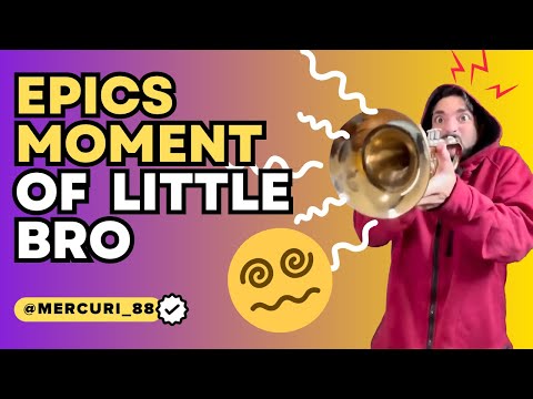 Little Brother | Compilation of Epics Moment Of Little Brother