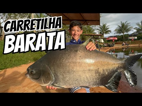 CARRETILHA VERSUS SW 6000 PEGA PEIXE GRANDE !!