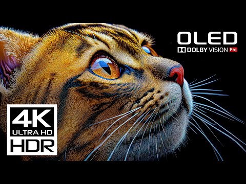 JAW DROPPING Video 4K HDR Dolby Vision - 60FPS Video