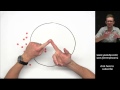 Diffusion and Cell Membrane Concepts