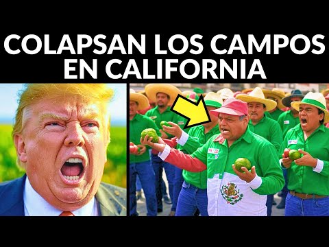 California en crisis agrícola: ahora importan alimentos desde México