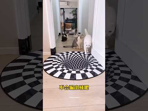 Owner surprised her car with unique doormat! #shortvideo