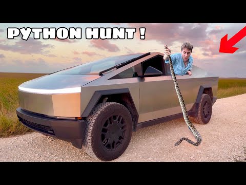 I TOOK MY CYBERTRUCK PYTHON HUNTING in The EVERGLADES !