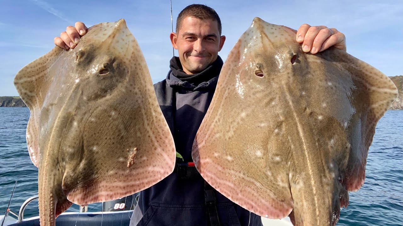 Autumn Sea Fishing - Lures fishing and at Anchor - Filmed with DJI Osmo Action - The Fish Locker