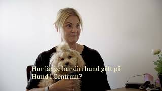 Hund i Centrum - detta är vi!