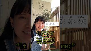 Why Taiwanese people love using chengyu like this in conversation
