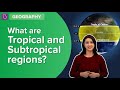 Equatorial Climate and Adaptations