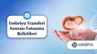 Embriyo Transferi Sonrası Tutunma Belirtileri Nelerdir?