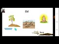 Interdependence in Nature