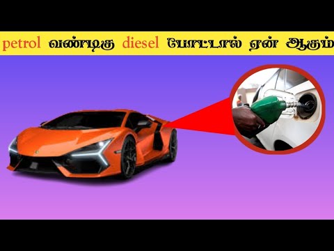 unknown amazing fact in tamil #youtubeshorts #trending #tamilfact #factintamil