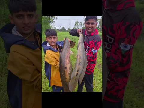 เคชเคฐเคซเฅเคเฅเค เคธเฅเคเค
เคช เคธเฅเคจเฅเคเคนเฅเคก เคซเคฟเคถเคฟเคเค #krfishhunter #snakeheadfishing #fishing