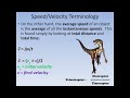 Exploring Speed and Velocity Concepts