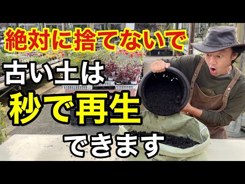 【ふるいや消毒はもう要らない】とんでもなく簡単な古い土の再生法教えます　　　　　【カーメン君】【園芸】【ガーデニング】【超カルスNC-R】