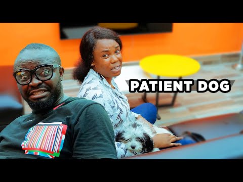 Patient Dog (Best Of Mark Angel Comedy)