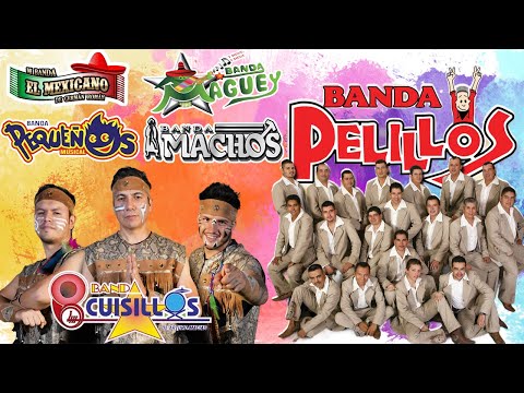 Lo Mejor de la Banda Romántica Mix - Pequeños Musical, Cuisillos, Banda Machos, Pelillos... y Más