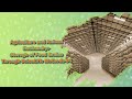 Grain Storage Practices and Structures