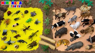 Animales Pequeños vs. Animales Grandes 🦁🐜 | Nombres de Animales | Aprende y Juega ✨ Mimonona Stories