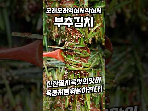[⭐️200만⭐️]삭혀서 먹는 부추김치 #shrots