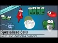 Cell Functions and Plant Structures