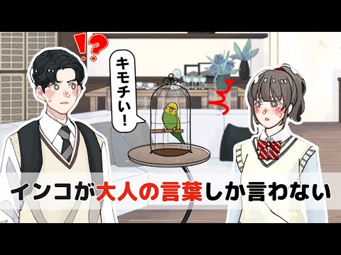 気になる男友達の前でインコが大人の言葉ばかり話してくる…【アニメコント】