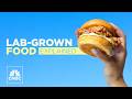 Lab-Grown Meat: Key Concepts