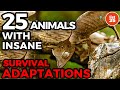 Exploring Insane Animal Survival Adaptations