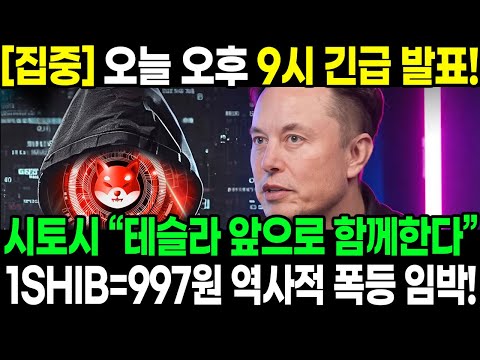 [집중] 오늘 오후 9시 긴급 발표! 쿠사마 시토시 “테슬라 앞으로 함께한다” 1SHIB=997원 역사적 폭등 임박!